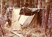 Survival Fairchild AFB