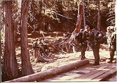 Survival Fairchild AFB Survival Fairchild AFB